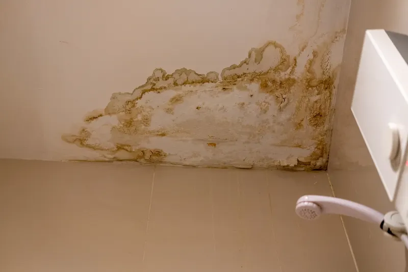 Condensation in Wetherby